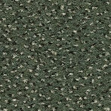 Ковролин Balsan Zenith Roll 250 фото 1 | FLOORDEALER